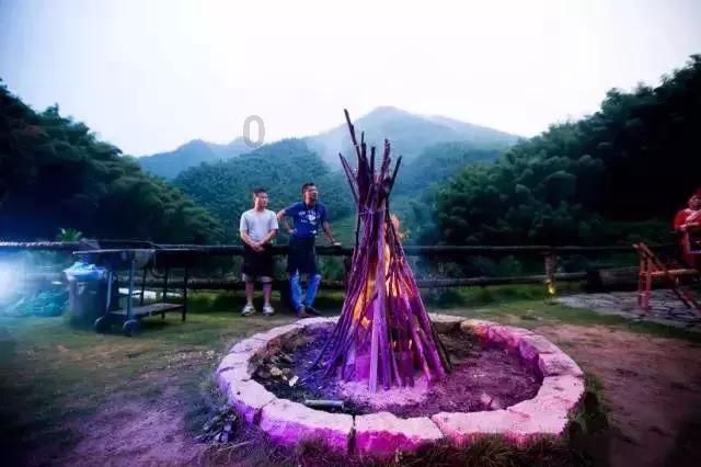 小猫钓鱼游戏龙王版有船
